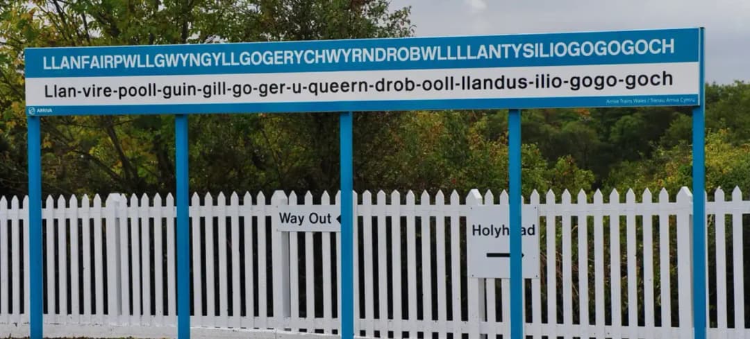 featured image of longest words in the world